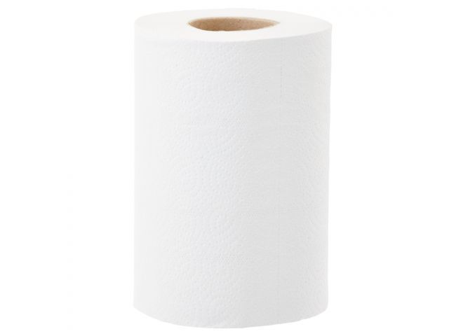 MERIDA Papierové uteráky v roliach OPTIMUM MINI, 2 vrstvové, biele, dĺžka 60 m (12 rolí/bal)